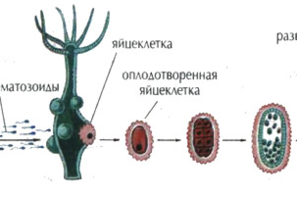 Ссылка на кракен даркнет